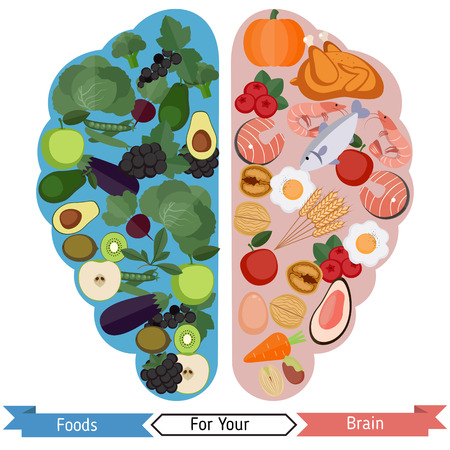 Concept of food helpful for healthy brainのイラスト素材