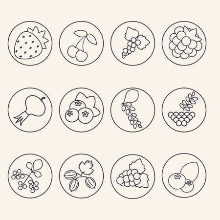 Collection of vector illustrations berries drawing with black lines.のイラスト素材