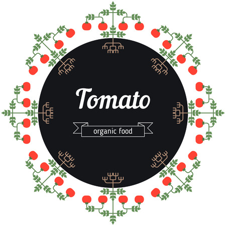 Tomato vegetables  flat illustration. Healthy Organic vegetarian food.のイラスト素材