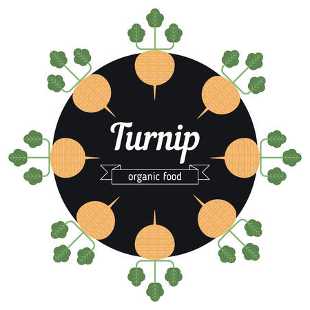 Turnip vegetables illustration. Healthy Organic vegetarian food.のイラスト素材