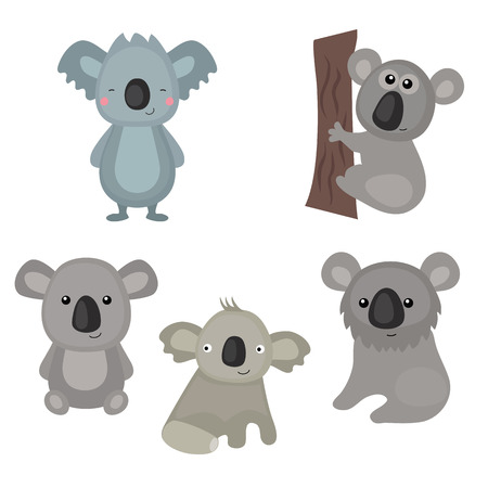 Set of different koalas on white background.のイラスト素材
