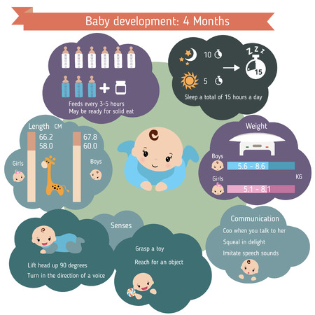 Child development infographics. Baby Growth Guide. Age 4 months.のイラスト素材