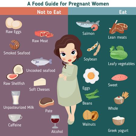Pregnant woman diet infographic. A Food guide for pregnant woman.のイラスト素材