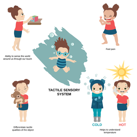 Vector illustration of human senses. Tactile sensory system: ability to sense the world around us through our touch, helps to understand temperature.のイラスト素材