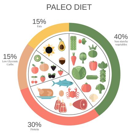Foods infographics. Paleo Diet food pie chart with recommended diary portions.のイラスト素材
