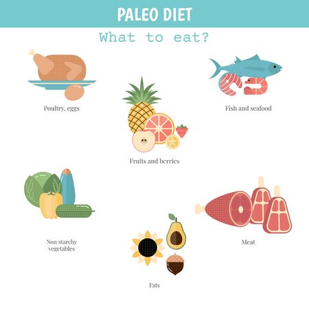 Foods infographics. Paleo Diet concept with food icons.のイラスト素材