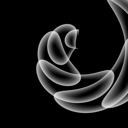 Light abstract on a black background. Monochrome. Dynamic lines. Gradient banners with flowing fluid shapes. Template for the design of flyers, brochures, invitations, websites.の写真素材