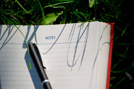 pen on organiser in natureの写真素材