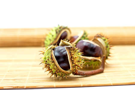  chestnuts の写真素材
