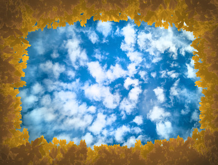 Yellow-brown leaves as frame of sky,covered with cirrus,cumulus clouds.Frame