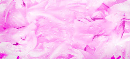 Abstract blurred floral vertical background,macro photo of petals,flowers of white pink peony.Banner,copy space,selective focus.Advertise fragrance,wedding florist business card design,invitationの写真素材