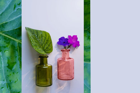 Close up 2 levitating glass bottles with lilac leaf and petunia flowers, floral fragrance concept. Abstract decorative still life composition of green leaf, stripes, copy space, poster design patternの写真素材