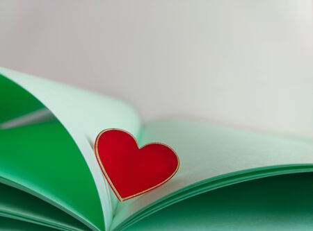 Delicate postcard in pastel colors. An open book with pale green leaves with a red glass heart in the center of the pages. Congratulations on your wedding and Valentine's Day. Space for text.の写真素材