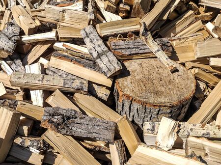 The wood is piled up near a Birch stump. Harvesting firewood for the winter. Raw materials for kindling a wood-burning stove. Village background with firewood close-up.の写真素材