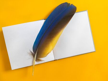 An open notebook with a feather of a bird in on an amber background. Yellow background with place for text in an open notebook. blue-yellow feather of a bird inside an open notebook. Space for text.の写真素材