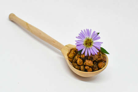 Ambrosia (bee bread) in a wooden spoon on a white background, chicory flower lies on top. Ambrosia bee bread in a wooden spoon on a white background, chicory flower lies on top. Selective focus. Beekeの写真素材