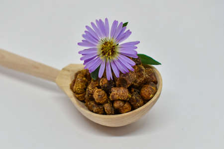 Ambrosia (bee bread) in a wooden spoon on a white background, chicory flower lies on top. Ambrosia bee bread in a wooden spoon on a white background, chicory flower lies on top. Selective focus. Beekeの写真素材