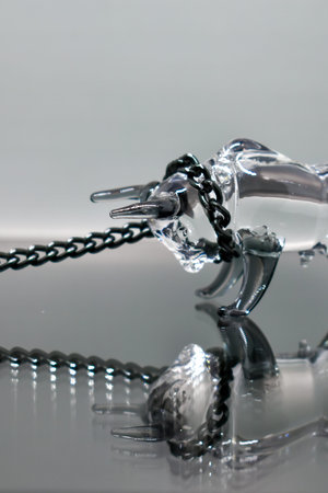 A glass figurine of a bull with a black metal chain around its neck stands against a mirrored background, looking at its reflection. Bull on a chain. Selective focus. Symbol of the year 2021の写真素材