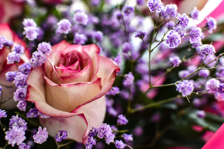 greeting card with bouquet of roses. Beautiful rose close-up against background of small flowers of...