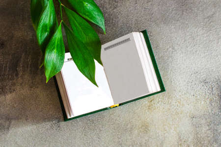 open book with white blank pages and sprig of green plant on gray concrete surface. Layout for day of poetry and literature. Top view, place for text. Open notebook and large green leaves on table.の写真素材