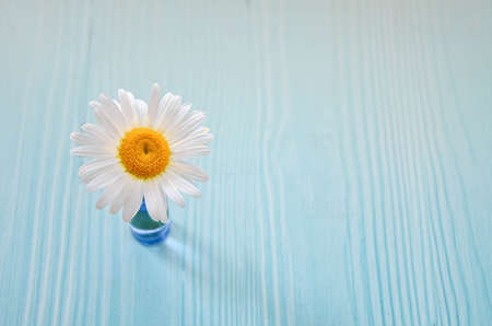 Chamomile flower in glass vase on blue wooden background in rays of sun. Top view, copy space. Summer background. Delicate summer postcard, space for textの写真素材