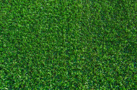 Green grass background. Lawn, football field, green grass artificial turf, texture, top view. summer...