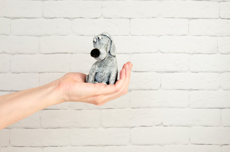 Cute funny little dog sits in the palm of a woman's hand. puppy in a hand. The concept of pet care, love for animals, veterinary medicine, animal shelterの写真素材