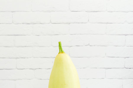 yellow oval squash against white brick wall, close up. Farm products, seasonal fresh vegetablesの写真素材