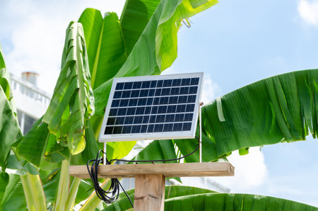 Mini solar battery panel outside. Background of blue sky and banana tree leaves. Concept: the use of pure energy, saving resources, global warming. alternative energy from sunlightの写真素材