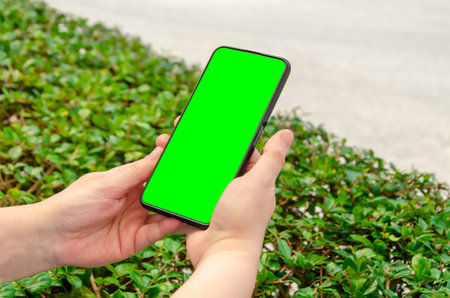 female hands hold a smartphone against the background of green bushes. Green screen, copy space and chromakey on smartphone screen. Template for inserting an image on the screen.の写真素材