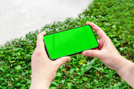 woman holding a smartphone on the background of green plants in the park. Green screen, copy space and chroma key on smartphone screen. Template for inserting an image.の写真素材