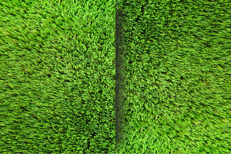Background, texture, green grass. Template, blank for design, text. summer lawn, convex elementsの写真素材