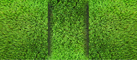 Background, texture of green grass. Template, blank for design, text. background of a summer, spring lawn with convex elementsの写真素材