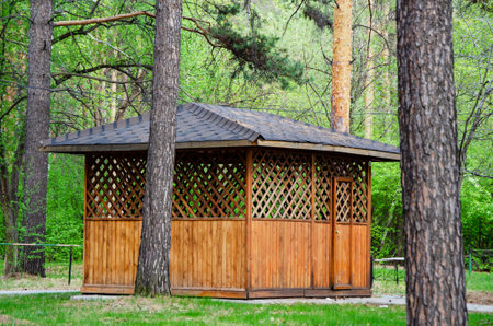 wooden gazebo for relaxing in pine forest. Recreation area, outdoor recreation.の写真素材