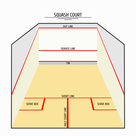 squash court with red marking lines with zone names. Squash court. Isolated vector illustrationのイラスト素材