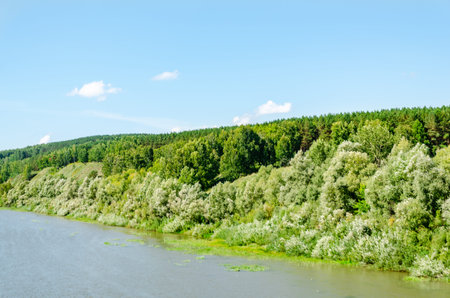 Landscape. Dense green forest on hill on shore of shallow river against blue sky on clear summer day