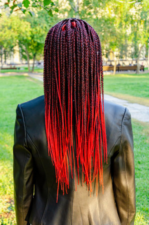 view from back of young woman with many of long black and red African pigtails, gathered into a hairstyle with bandana. informal modern styleの写真素材