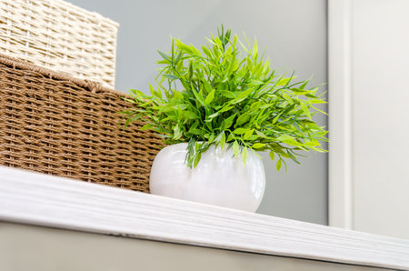 decorative elements. Wicker baskets and plant in white pot on shelf.の写真素材