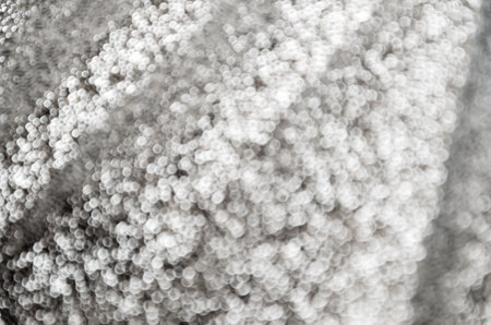 abstract black and white bokeh background. Gray monochrome glitter texture.の写真素材