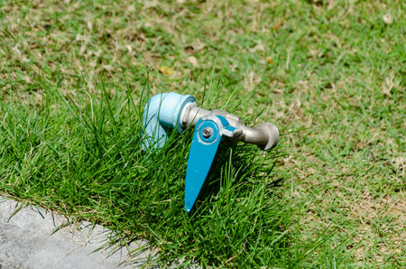 tap installed in ground, for connecting a watering hose for watering the lawn.の写真素材