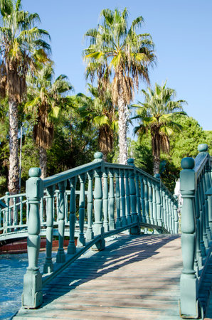 Elevated wooden bridge surrounded by tall palm trees against a clear blue sky. The serene setting makes it an inviting passageway in a tranquil park or garden environment.の写真素材