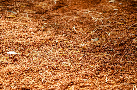 Red soil with rough texture, scattered with pine needles under sunlight. earthy surface displays natural patterns, suitable for backgrounds or agricultural themes, highlighting raw outdoor elements.の写真素材