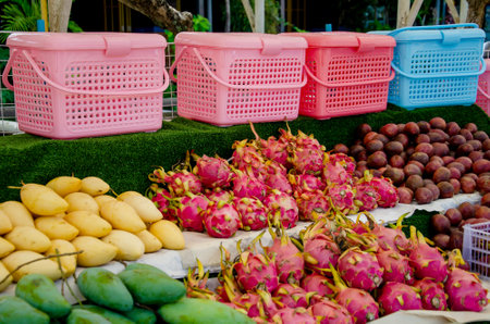 A vibrant fruit market display featuring dragon fruits, mangoes, mangostin and other exotic fruits neatly arranged. Bright pink baskets add a splash of color against lush greeneryの写真素材