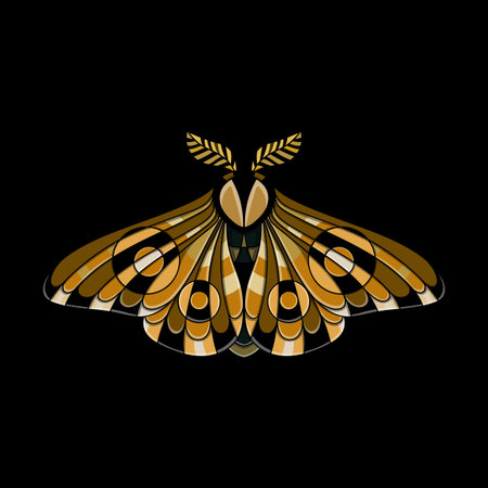 Night moth in ethnic style. Vector illustration of a butterfly on a black background. Use on the T-shirt and textileのイラスト素材