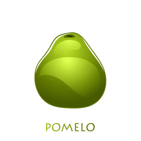 Fresh bright exotic whole green pomelo fruit isolated on white background. Summer fruits for healthy lifestyle. Organic fruit. Cartoon style. Vector illustration for any design.のイラスト素材