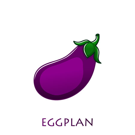 Eggplant isolated on white. Aubergine. Vector illustration. Vegetarian foodのイラスト素材