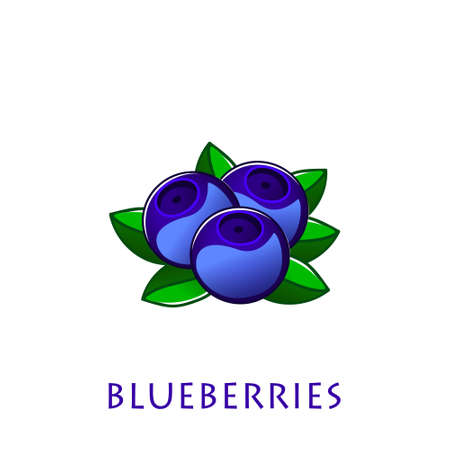 Vector blueberry icon. Flat cartoon illustration. Vector illustration cartoon flat icon isolated on white.のイラスト素材