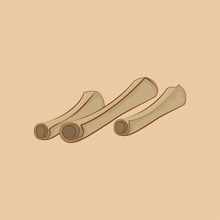 Icon scrolls. Scrolls in cartoon style.のイラスト素材