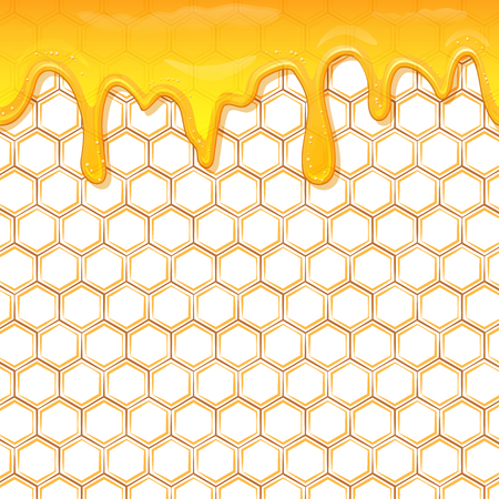 Dripping honey. Honey splash dripping sweet drops from bee honeycomb poster for beekeeping honey, honey shop or bakery.のイラスト素材