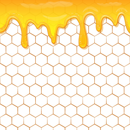 Dripping honey seamlessly repeatable. Honey splash dripping sweet drops from bee honeycomb poster for beekeeping honey, honey shop or bakery.のイラスト素材